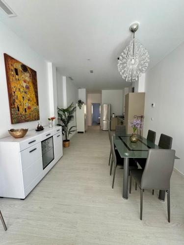 6 Personas Oceanografic Ciencias Roig Arena