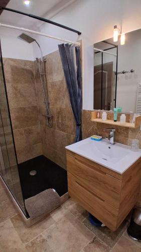 a bathroom with a shower and a sink at Chez Mich'An Luberon in Saignon