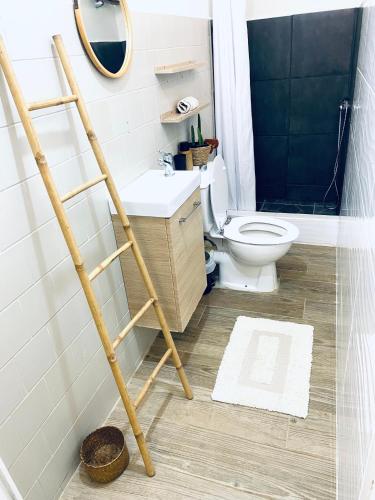 a bathroom with a ladder next to a toilet at Emeraude tropicale in Goyave