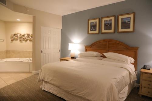 a bedroom with a bed and a bath tub at Unit at the Sheraton Broadway Plantation in Myrtle Beach