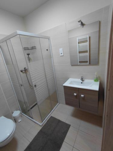 a bathroom with a shower and a sink and a toilet at Borti Apartman in Zamárdi
