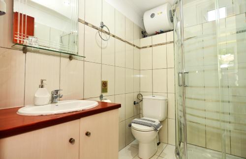 a bathroom with a toilet and a sink and a shower at Studios Avra in Skala Rachoniou