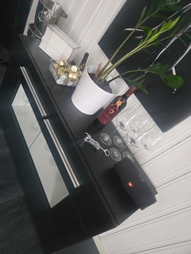a black counter with a potted plant on it at Takelvdal in Björklid