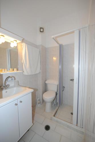 a bathroom with a toilet and a shower and a sink at Orfeas Apartments in Kamari