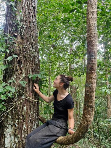 a woman sitting on a tree in the woods at Casa de MaMa Bertha y Papacho in Rurrenabaque