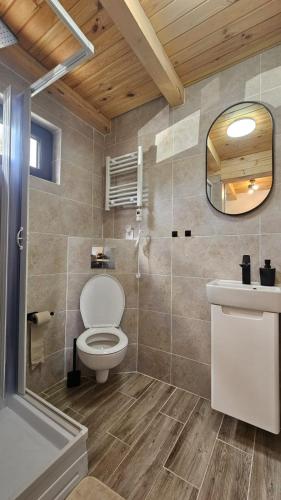 a bathroom with a toilet and a sink and a mirror at Nord Hill in Poiana Negrii