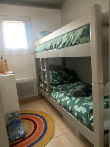 a bunk bed with a dog sleeping on the bottom bunk at Un cocon en Camargue in Saintes-Maries-de-la-Mer