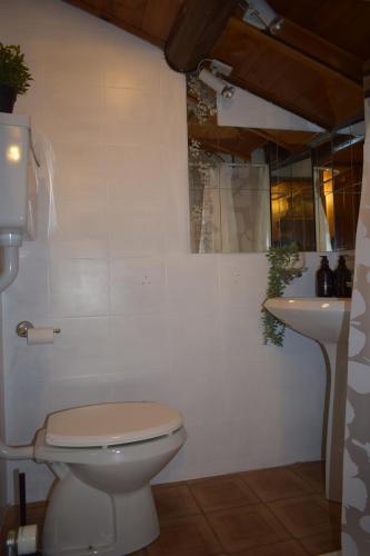 a bathroom with a toilet and a sink at Il Nido in Valdisotto