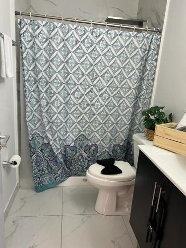 a bathroom with a black cat sitting on a toilet at Studio apartment- private entry! in Homestead