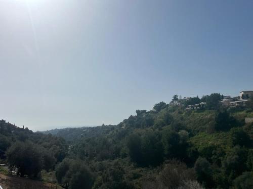 a view of a hill with trees and houses at La costière in Nice