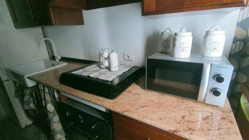 a kitchen counter with a microwave and a sink at Luna Normanna in Rutigliano