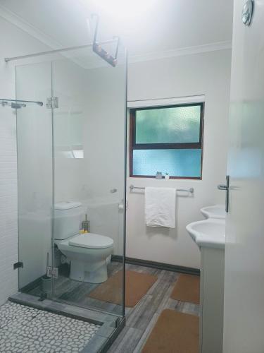 a bathroom with a toilet and a glass shower at GreenPeace in Stellenbosch