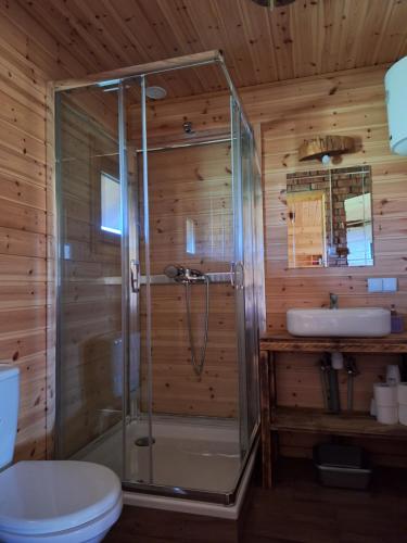 a bathroom with a shower with a toilet and a sink at Pod Dębem in Winnica