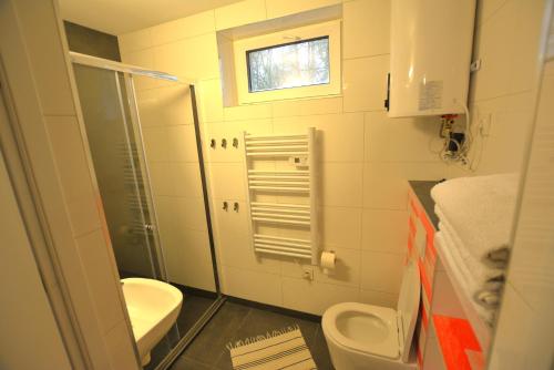 a small bathroom with a toilet and a sink at Ośrodek Wypoczynkowy SUM in Bialokosz