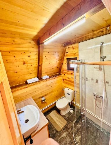 a bathroom with a toilet and a shower and a sink at Etno Cottages Komarnica Authentic Peaceful Mountain Getaway in Šavnik