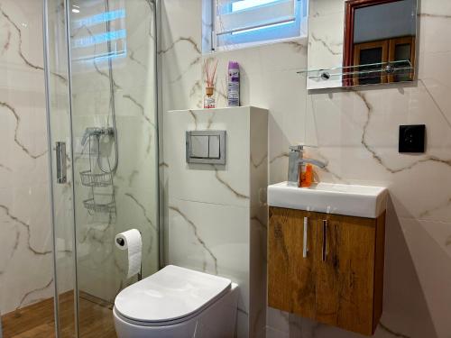 a bathroom with a shower and a toilet and a sink at Zacisze Osławy Agroturystyka in Wysoczany