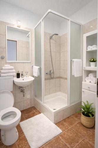 a bathroom with a shower and a toilet and a sink at Apartman David in Postira