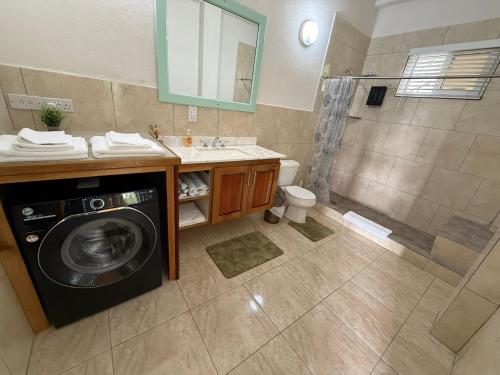 a bathroom with a washing machine and a shower at You 4 Ric Piton Suites in Soufrière
