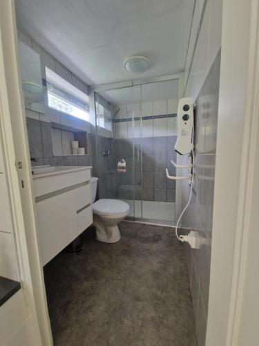 a small bathroom with a toilet and a shower at Montignac, t2 proche Lascaux in Montignac