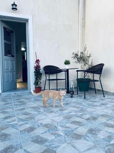 LEIVADAROS apartments