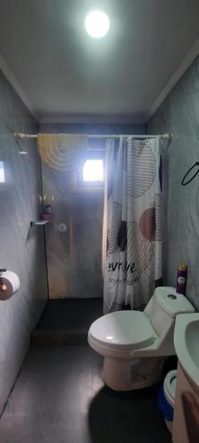 a small bathroom with a toilet and a shower at Cabaña Guzman in Villarrica