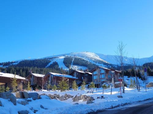 CHALET SCALA SIX JASNÁ - FREE Jacuzzi & Sauna & Breakfast !