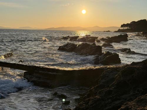 Villa les pins