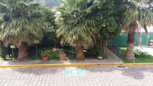Zahrada ubytování La Quinta Puebla