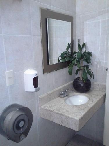 a bathroom with a sink with a potted plant on it at La Quinta Puebla in Puebla