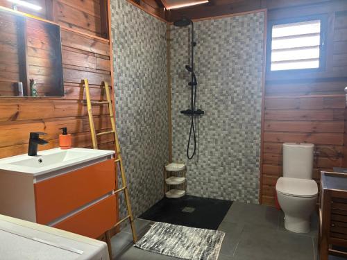 a bathroom with a shower and a toilet and a sink at Le Bananawi in Pointe-Noire