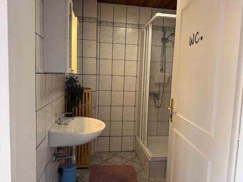 a bathroom with a sink and a shower at Haus Ruhewinkel, Bungalow 2 in Alkersum