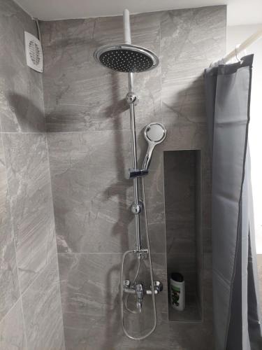 a shower with a shower head in a bathroom at Srna apartmani in Čačak