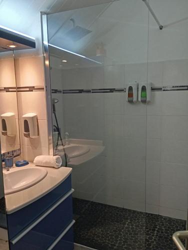 een badkamer met een douche, een wastafel en een spiegel bij Colibri des îles in Le Gosier