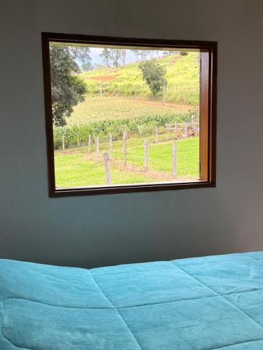 a bedroom with a window looking out at a vineyard at Chalés recanto dos oliveira in Camanducaia