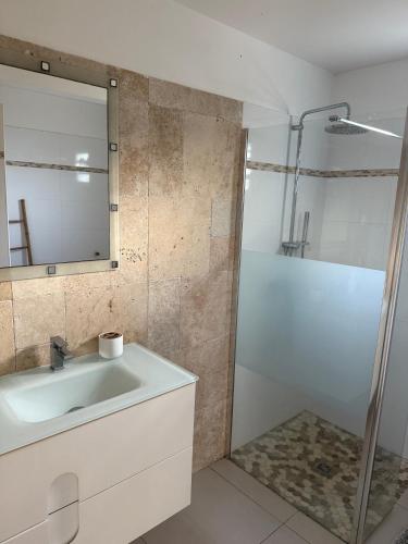 a bathroom with a sink and a shower at La jolie Villa in Le Lamentin