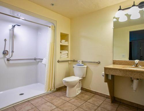a bathroom with a toilet and a shower and a sink at Bryce View Lodge Part of the Ruby's Inn Resort in Bryce Canyon