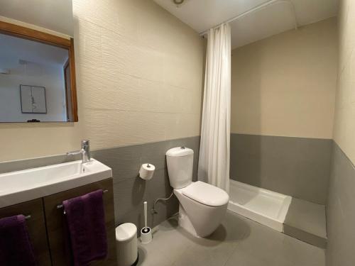 a bathroom with a toilet and a sink and a shower at Osaka Suite in Lloret de Mar
