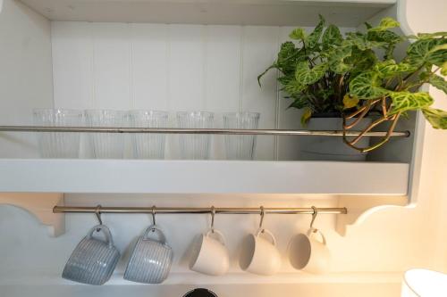 a kitchen rack with pots and a potted plant at The Lotus Cottage Maleny in Witta