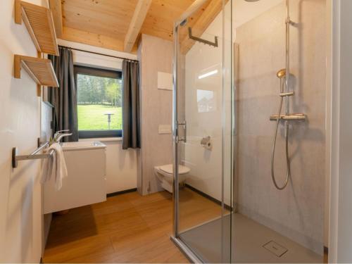 a bathroom with a shower and a toilet and a window at Obermöschach 5A in Obermöschach