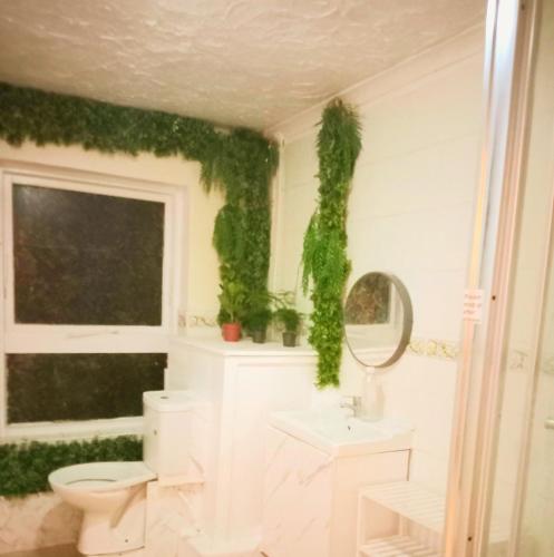 a bathroom with a toilet and a window with green ivy at Central Simple Cambridge stay in Cambridge