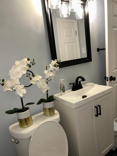 a bathroom with a toilet and a sink with flowers on it at Cozy Apartment 6 miles from Downtown, Cincinnati in Cincinnati