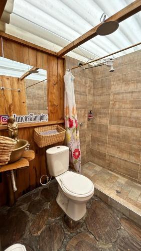 a bathroom with a toilet and a shower at Juncos Glamping in Fúquene