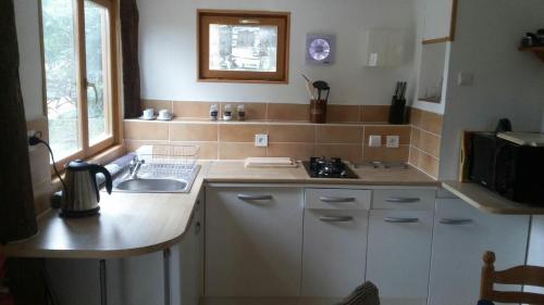 eine kleine Küche mit einer Spüle und einer Mikrowelle in der Unterkunft Le Terrier Blanc in Argenton-sur-Creuse