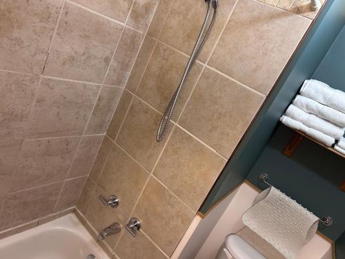 a bathroom with a shower and a toilet at Chez Odette, loft intime in Roberval