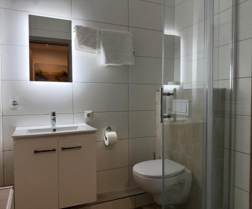 a bathroom with a toilet and a sink and a shower at Hotel Zur Post in Haren