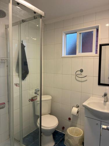 a bathroom with a toilet and a glass shower at Bercy in Valdivia