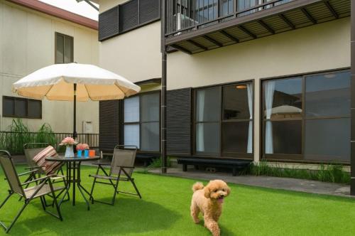 a dog standing on the grass near a table with an umbrella at Wave House 99 Beachside - Self Check-In Only in Kujukuri