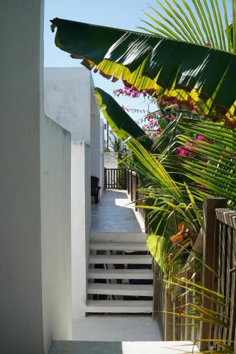 a staircase leading up to a white building with a bunch of plants at Buena Vista in El Paredón Buena Vista