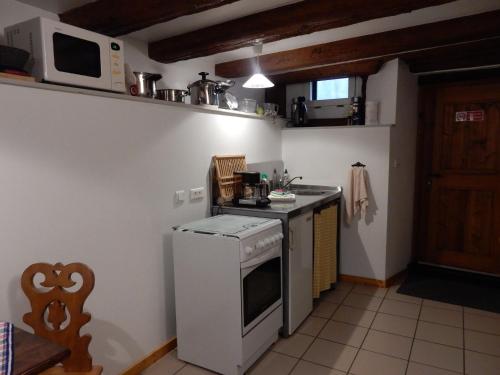 une petite cuisine avec une cuisinière et un micro-ondes dans l'établissement Apartment in Riquewihr near Vineyards, à Riquewihr