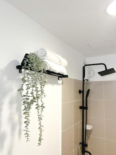 a plant on a shelf in a bathroom at Mi Casa de Baguio by North Sierra in Baguio